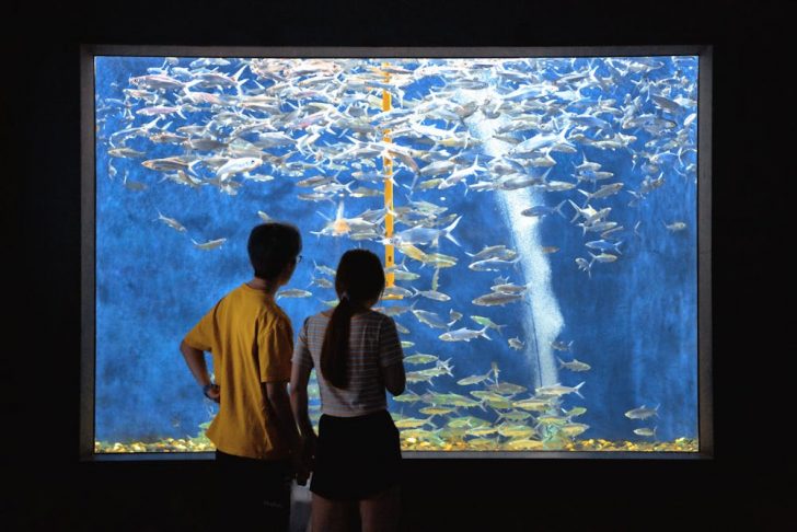 Best places for a first date that promise a great time.